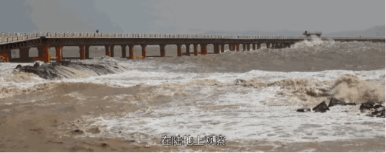 5.gif