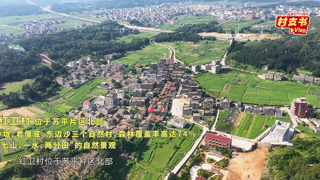 紅衛(wèi)村1.gif