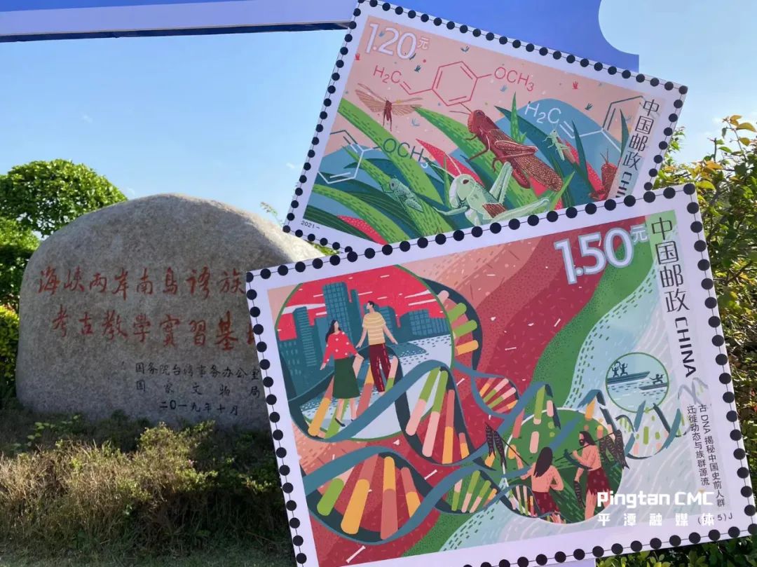 圖片