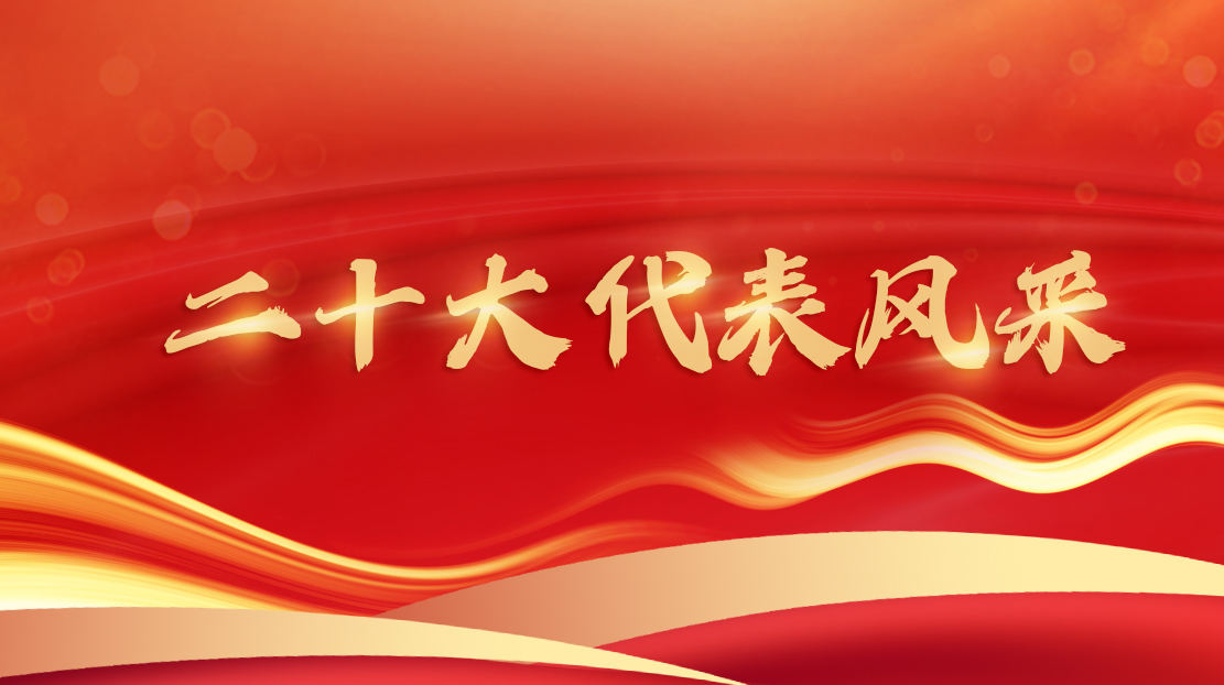 二十大代表風(fēng)采