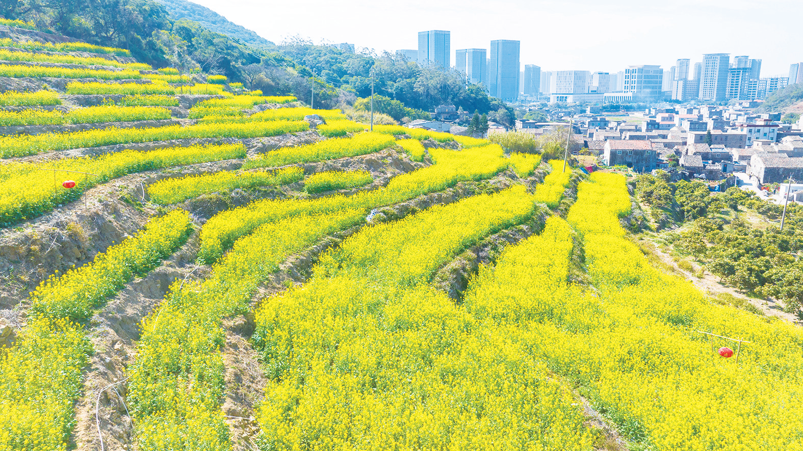 春日嵐島 美好畫(huà)卷