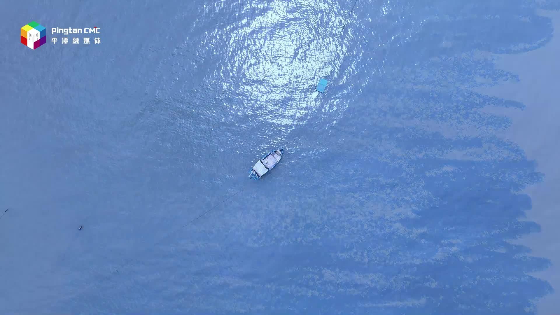 世界地球日丨守護地球，綠色“童”行